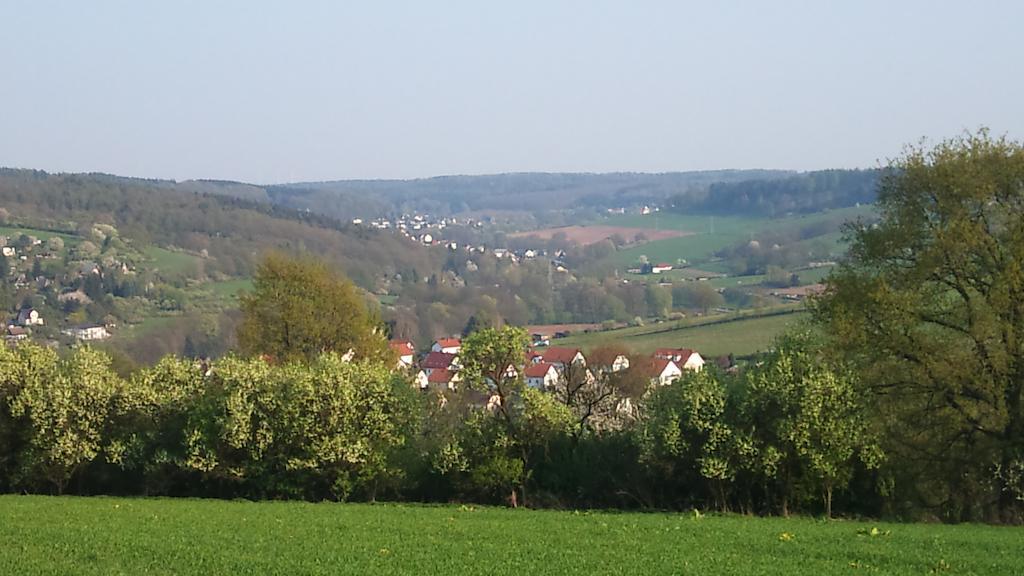 Gasthof Und Pension Frankenthal - Garni Hotel Gera Exterior photo